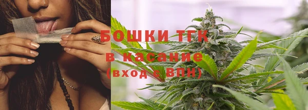 шишки Беломорск